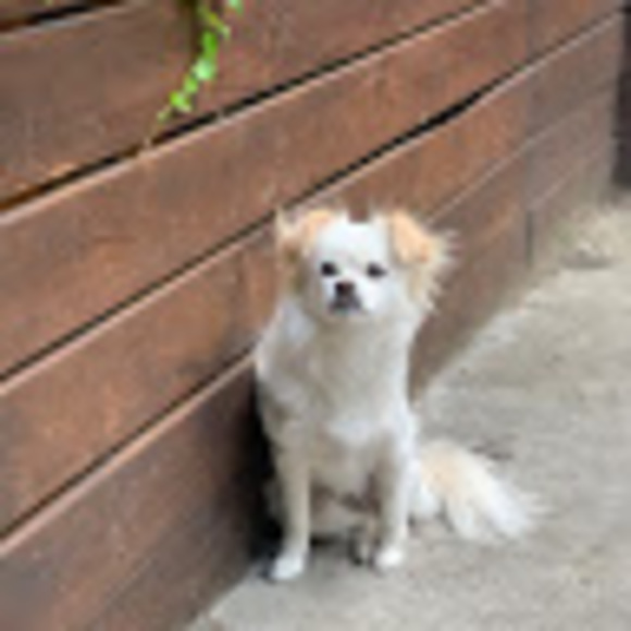 Profile Picture of Katelyn Mcleod (@katejmcleod) on Poshmark