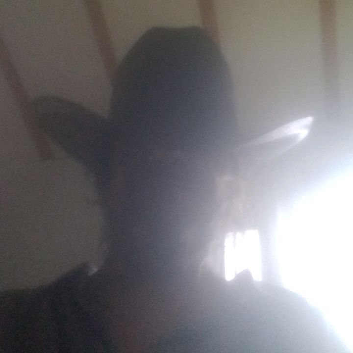 Profile Picture of Desperado (@thomasfulk402) on Tiktok