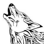 Profile Picture of Janine Fuchs (@fuchsjanine32) on Flickr