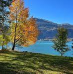 Profile Picture of Chrisi Lehner (@Chrisi-Lehner) on Facebook