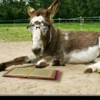 Profile Picture of Paula Welch  (@paula-welch-37) on Quora