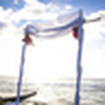 Profile Picture of Anson-Davis Wedding Photos (@Anson-Davis Wedding Photos) on Flickr