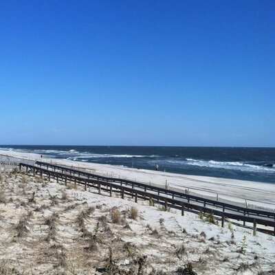 Profile Picture of Robin Wilk (@robin_wilk) on Twitter