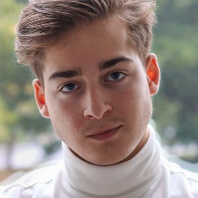 Profile Picture of Luuk Van Leeuwen (@LuukButInCode) on Twitter