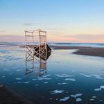 Profile Picture of Dámaris Orellano (@damaris.oph) on Instagram