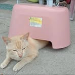 Profile Picture of Edward Michael Chua (@edward.michael.chua) on Facebook