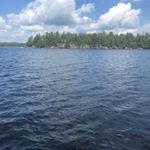 Profile Picture of Shawn Twigger (@shawntwigger) on Instagram