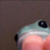 Profile Picture of user5693__ (@@davidlsee) on Tiktok
