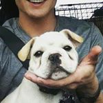 Profile Picture of Brian (@briantopzera) on Instagram