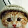 Profile Picture of Eric Buffington (@dawg6675) on Pinterest