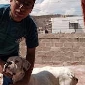 Profile Picture of Pablo Lezama Alvarez (@pablolezamaalvarez7461) on Youtube