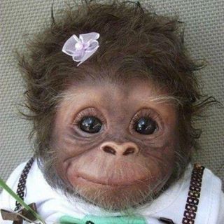 Profile Picture of JoAnne Perreault (@joanne.perreault.54) on Facebook