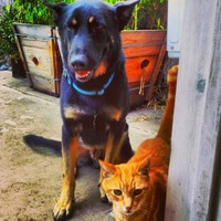 Profile Picture of David Ruskin (@david-ruskin) on Quora