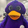 Profile Picture of Purple Duck (@@francis.tuttle.deca) on Tiktok