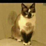 robinfecher - Instagram Profile Picture of robinfecher (@robinfecher) on Instagram