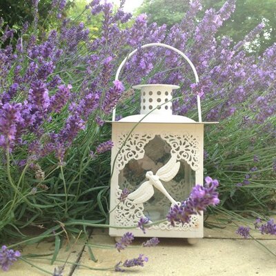 Profile Picture of Mandy Everett (@MandyEvz) on Twitter