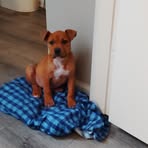 Shawnna Thompson - Facebook Profile Picture of Shawnna Thompson (@Shawnna-Thompson) on Facebook