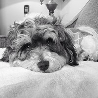 Profile Picture of Leslie Connors (@leslie-connors) on Quora