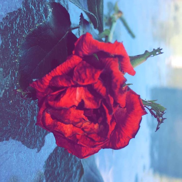 Sierra Sager - Poshmark Profile Picture of Sierra Sager (@sierrasager) on Poshmark