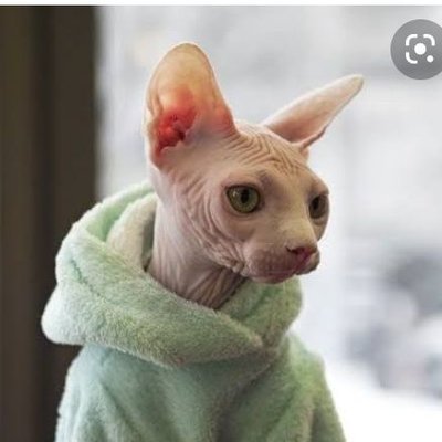 Anel Sánchez - Twitter Profile Picture of Anel Sánchez (@Anelsanchez97) on Twitter