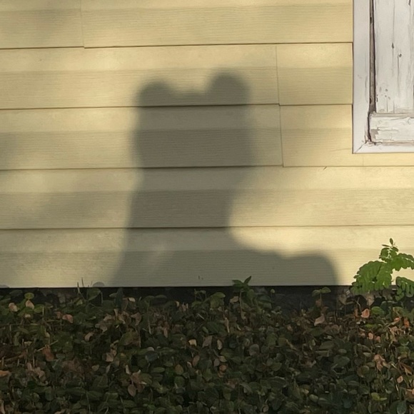 Sierra Sager - Poshmark Profile Picture of Sierra Sager (@sierrasagerrr) on Poshmark