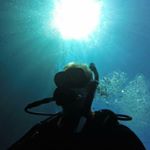 Profile Picture of Daniel Linder (@dilsthlm91) on Instagram