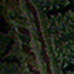 Profile Picture of Sameena_najmuddin (@sameena_najmuddin) on Flickr