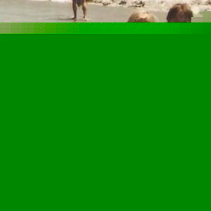 Profile Picture of Adam Kartchner (@142278467) on Myspace