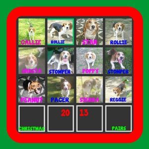 Profile Picture of Cathy Sandgren Johnson (@short_track_beagles) on Myspace