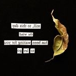 Profile Picture of Paula Boon (@foundwordart) on Instagram