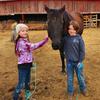 Profile Picture of Hellion'sHorse's&Harley's (@bicezachary1) on Tiktok