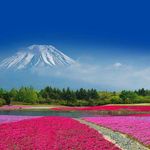 Profile Picture of Lanny Wati (@lannyw81) on Instagram