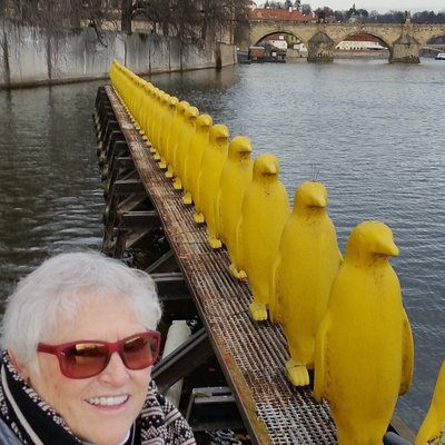 Profile Picture of Deborah McFarland (@Deborah54058881) on Twitter