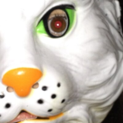 Profile Picture of Lint Licker (@ZacharyPick) on Twitter