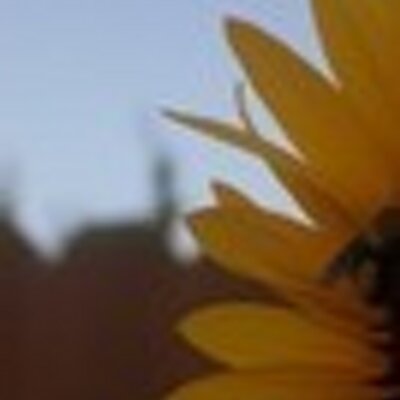 Profile Picture of Molly Maynard (@molly_bloom_) on Twitter