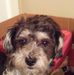 Profile Picture of Debra Corey (@debra.corey.142) on Facebook