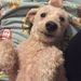 Profile Picture of Kelly (@dandy_randy) on Pinterest