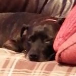 Profile Picture of Deborah Doolan (@doolandeborah) on Instagram