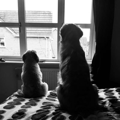 Profile Picture of Lisa and Coon Twitter