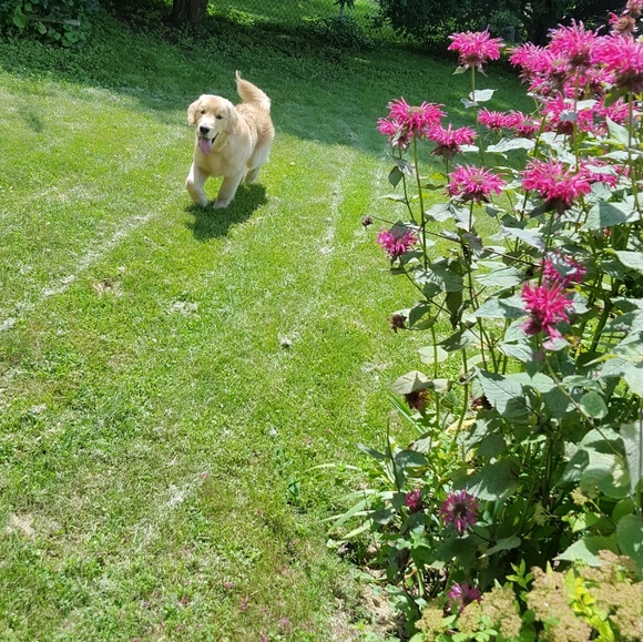 Profile Picture of Hailey Recob (@1779sunshine) on Poshmark