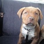 Profile Picture of Ivan Comas (@comas464) on Instagram