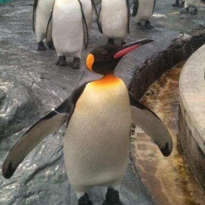 Profile Picture of Jim Bean (@STennis1108) on Twitter