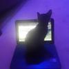 Profile Picture of masonlanctot (@@masonloveeliza) on Tiktok