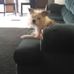 Profile Picture of Darin Wheeler (@darin.wheeler.336) on Facebook
