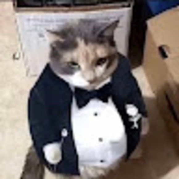 Profile Picture of Ethan Canny (@acatinthetuxedo) on Poshmark