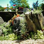 Profile Picture of Sean Bodell (@hashpack) on Instagram