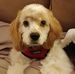 Profile Picture of James Markowski (@james.markowski.52) on Facebook