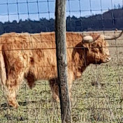 Willie Groenewoud - Youtube Profile Picture of Willie Groenewoud (@williegroenewoud4634) on Youtube