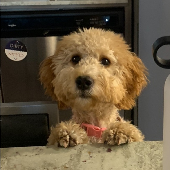 Kennedy Reynolds - Poshmark Profile Picture of Kennedy Reynolds (@kennedytaylor37) on Poshmark