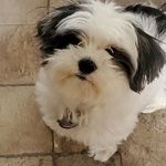 Ryan Vrahnos - Instagram Profile Picture of Ryan Vrahnos (@superjames926) on Instagram